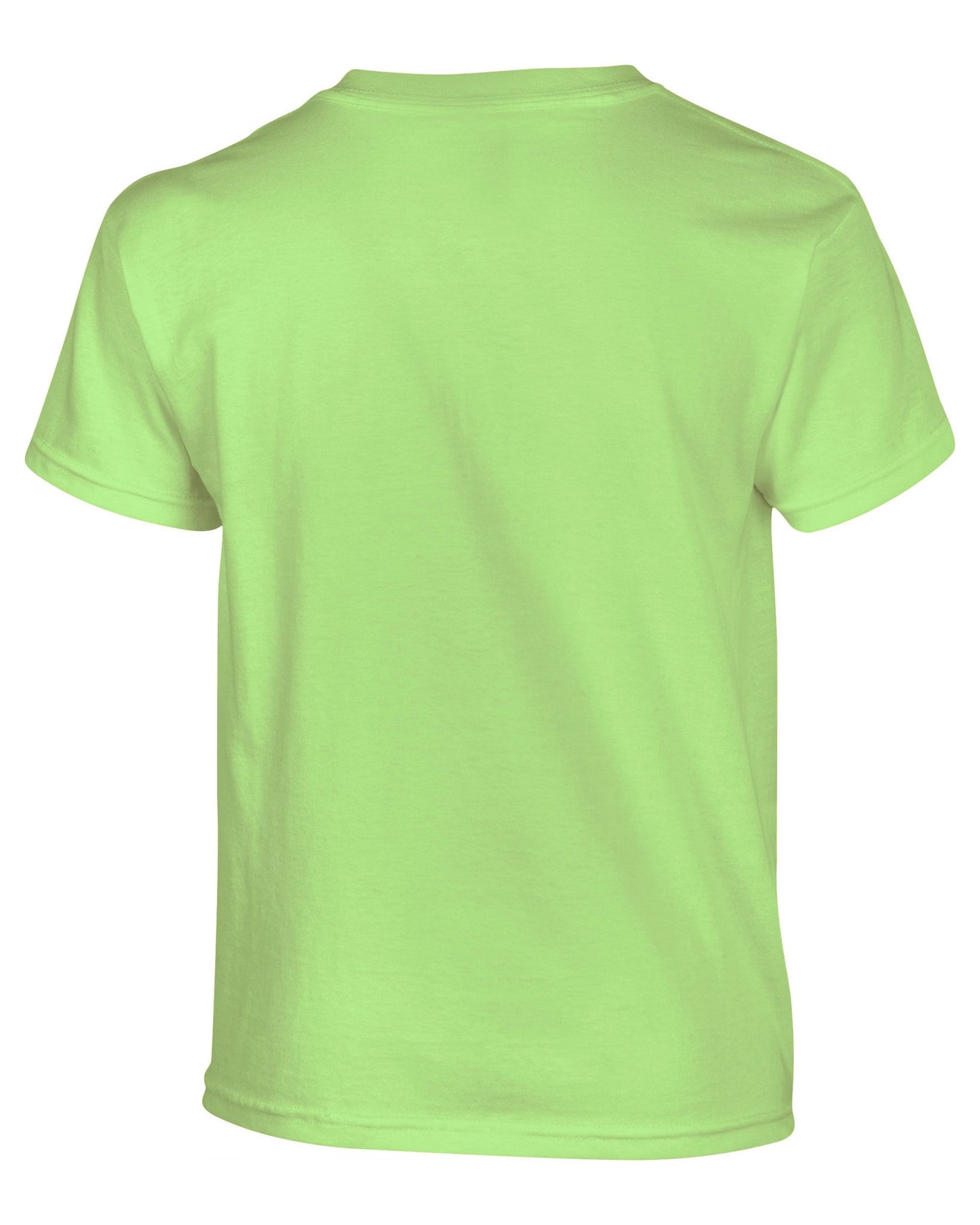 Gildan Heavy Cotton™ youth t-shirt - Mint Green