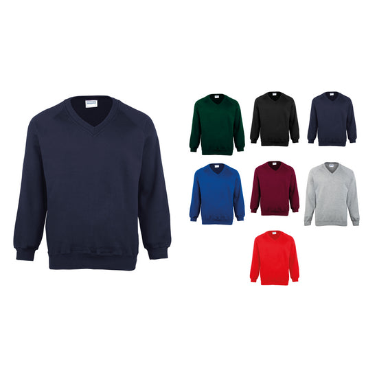 Maddins Coloursure™ v-neck sweatshirt