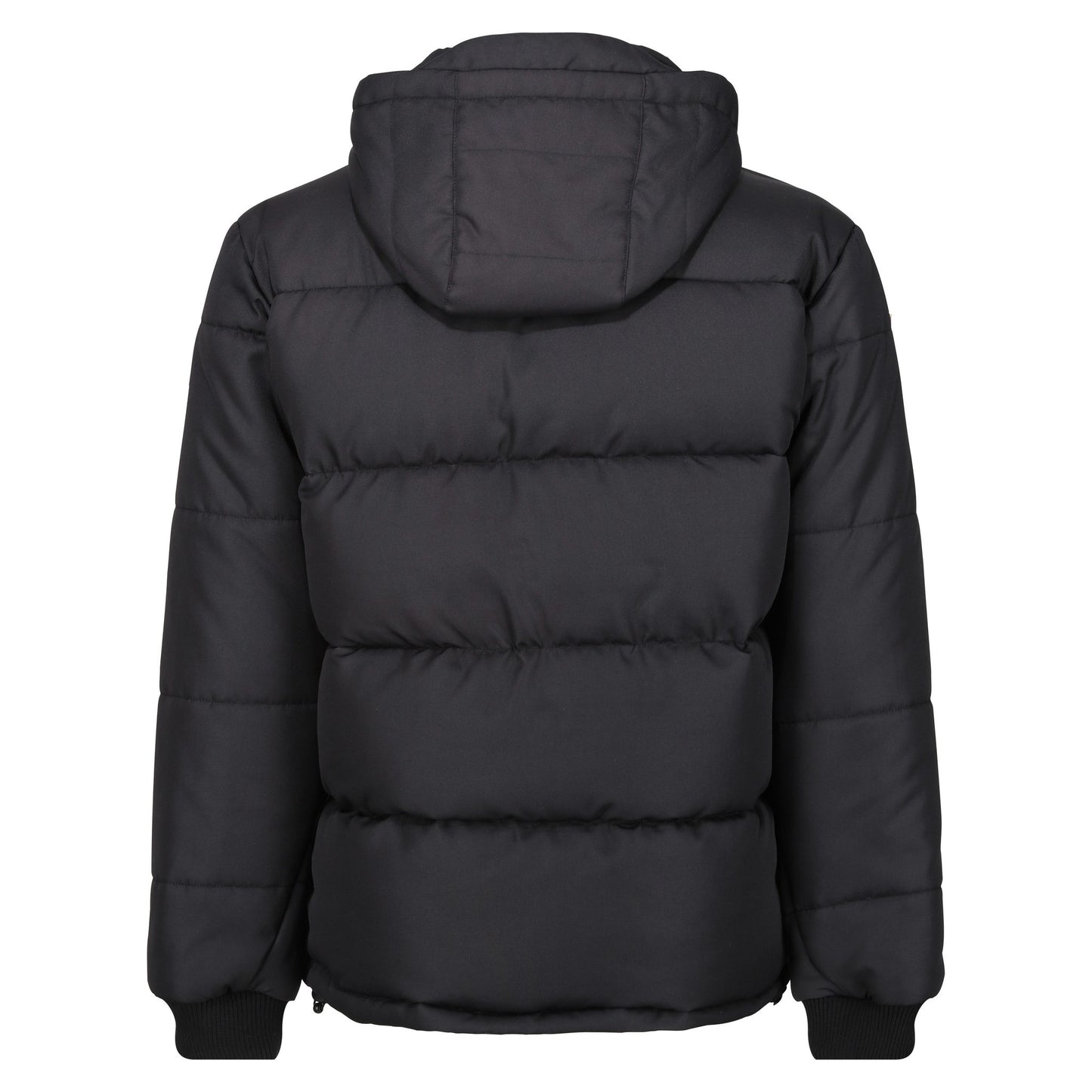 Regatta Professional Northdale insulated jacket