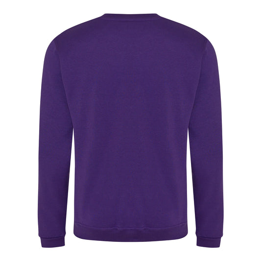 ProRTX Pro sweatshirt - Purple