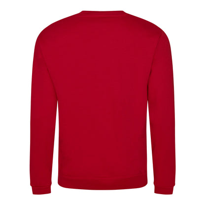 ProRTX Pro sweatshirt - Red