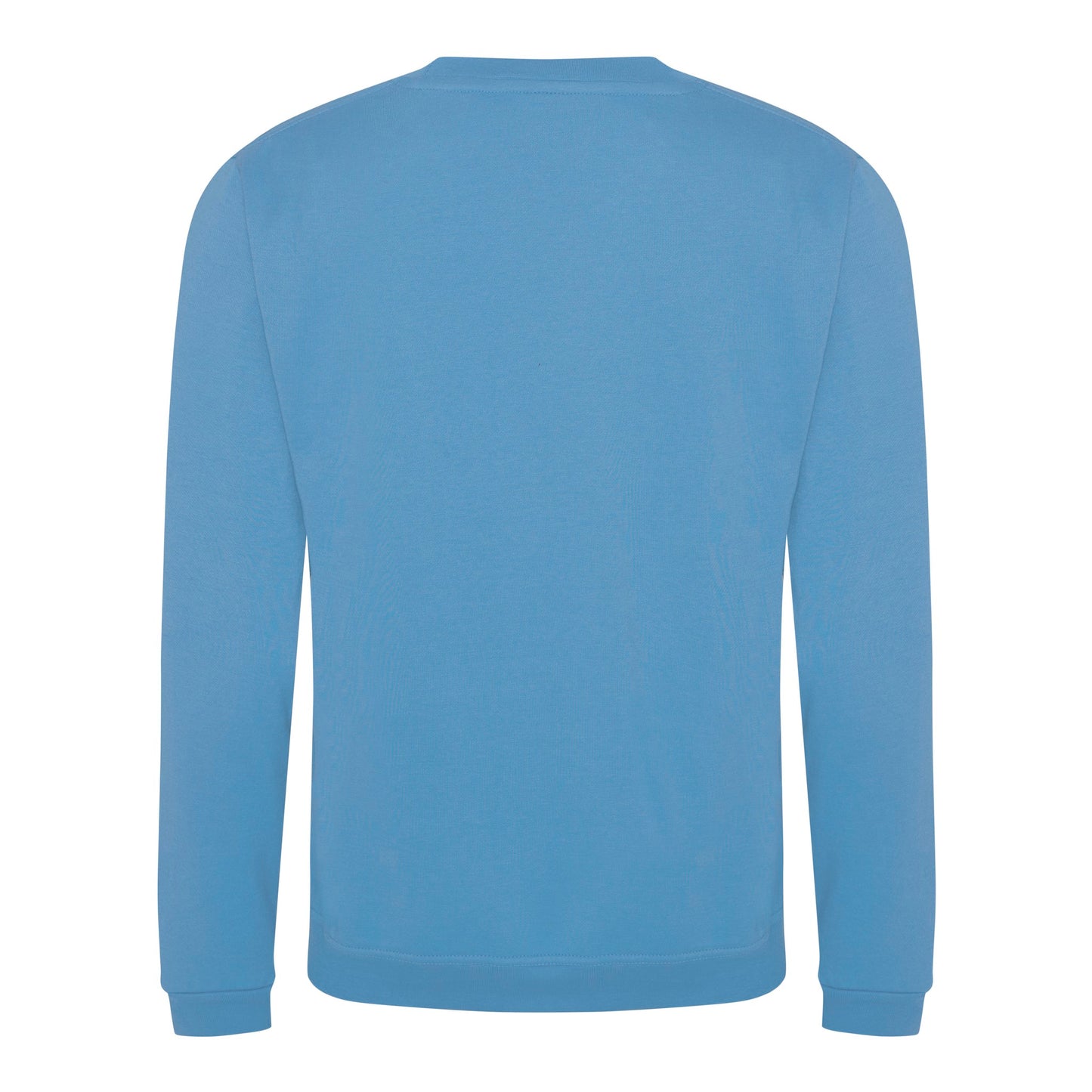 ProRTX Pro sweatshirt - Sky Blue