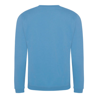 ProRTX Pro sweatshirt - Sky Blue