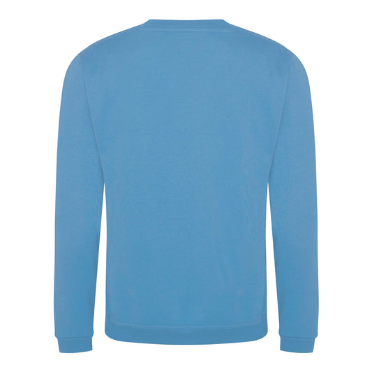 ProRTX Pro sweatshirt - Sky Blue