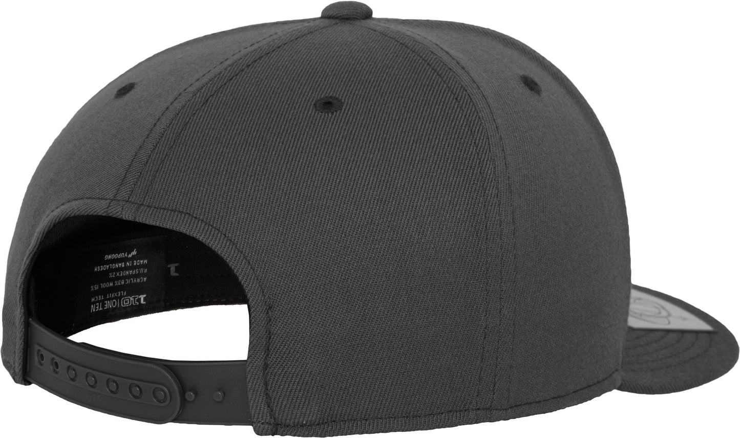 Flexfit by Yupoong 110 fitted snapback (110)